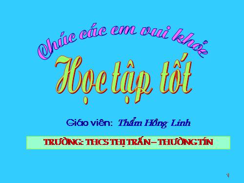 Các bài Luyện tập