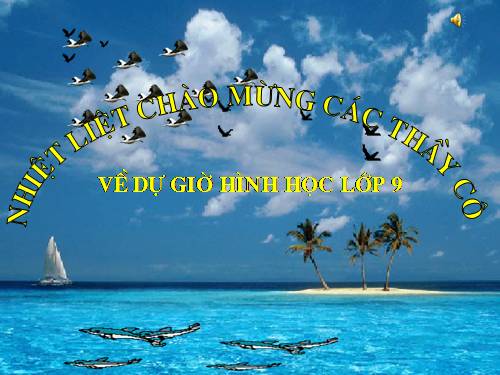 Chương III. §3. Góc nội tiếp