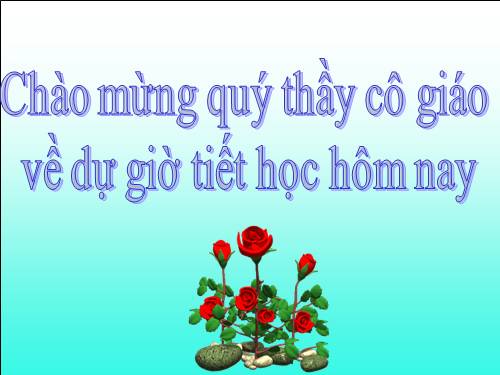 Chương III. §7. Tứ giác nội tiếp