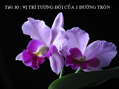 Chương II. §7-8. Vị trí tương đối của hai đường tròn