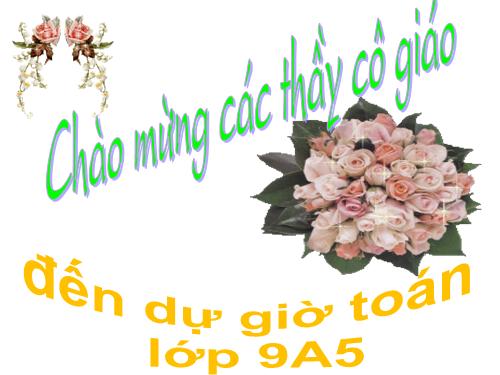 Chương II. §2. Đường kính và dây của đường tròn