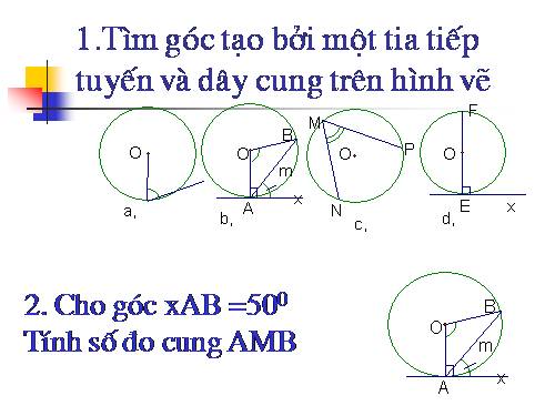 Các bài Luyện tập