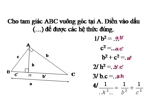 Ôn tập Chương I. Hệ thức lượng trong tam giác vuông