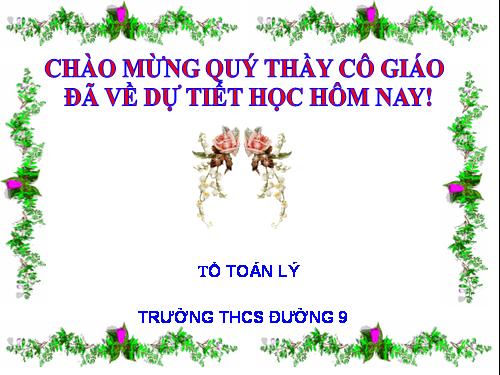 Chương III. §10. Diện tích hình tròn, hình quạt tròn