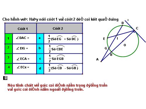 Các bài Luyện tập