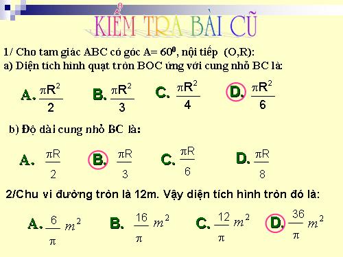 Các bài Luyện tập