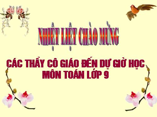 Các bài Luyện tập