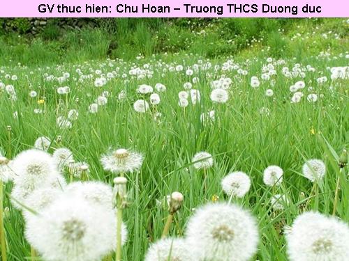 Chương III. §5. Góc có đỉnh ở bên trong đường tròn. Góc có đỉnh ở bên ngoài đường tròn