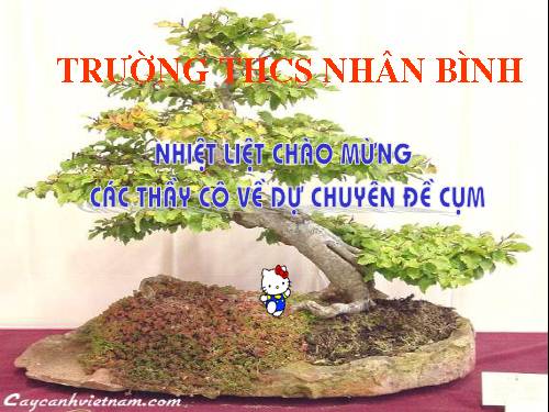 Các bài Luyện tập