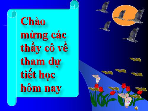 Các bài Luyện tập