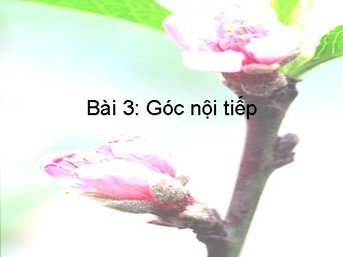 Chương III. §3. Góc nội tiếp