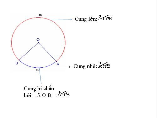 Chương III. §1. Góc ở tâm. Số đo cung