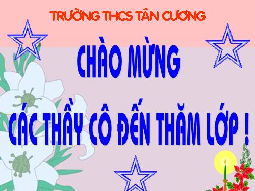 Các bài Luyện tập