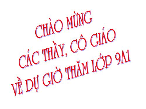 Các bài Luyện tập