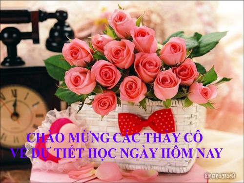 Chương I. §4. Một số hệ thức về cạnh và góc trong tam giác vuông