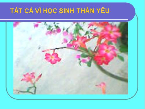 Chương III. §7. Tứ giác nội tiếp