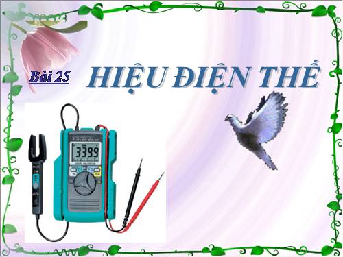 Bài 25. Hiệu điện thế