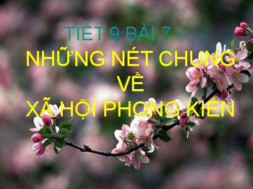 Bài 6. Thực hành: Quan sát và vẽ ảnh của một vật tạo bởi gương phẳng