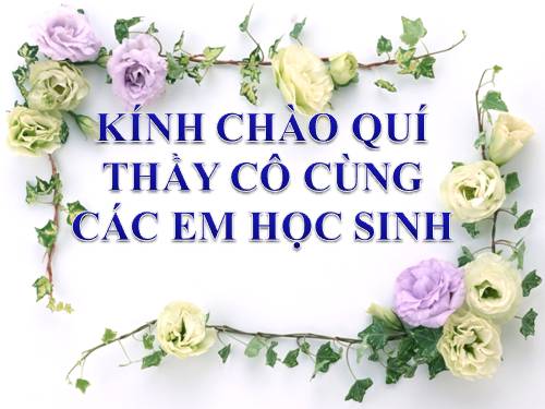 Bài 17. Sự nhiễm điện do cọ xát