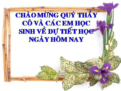 Bài 10. Nguồn âm