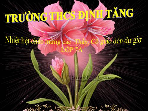 Bài 11. Độ cao của âm