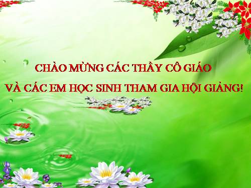 Bài 17. Sự nhiễm điện do cọ xát