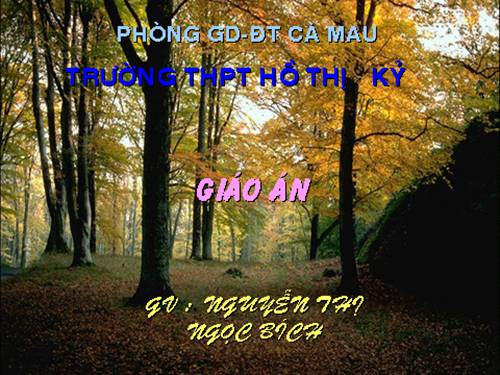 Bài 8. Gương cầu lõm