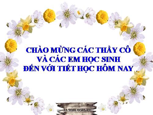 Bài 7. Gương cầu lồi