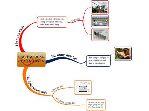 các tác dụng của ánh sáng VL9