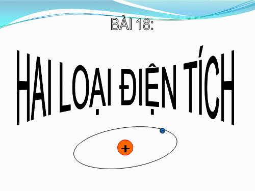 Bài 18. Hai loại điện tích