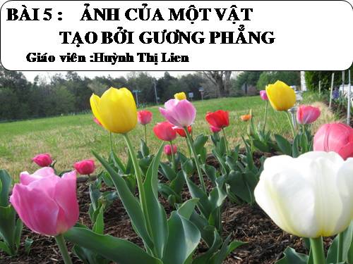 Bài 5. Ảnh của một vật tạo bởi gương phẳng