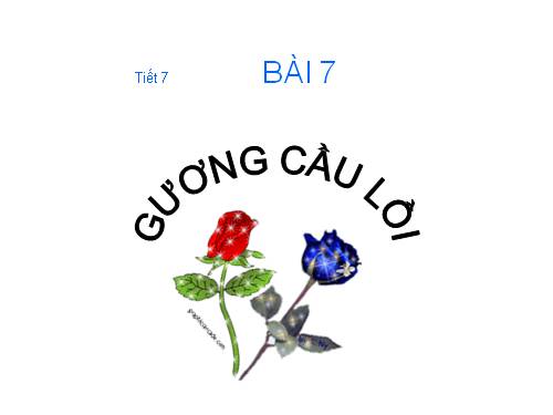 Bài 7. Gương cầu lồi