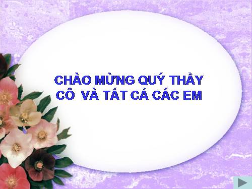 Bài 15. Chống ô nhiễm tiếng ồn