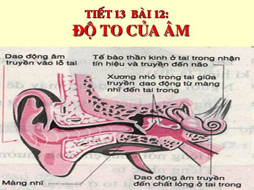 Bài 12. Độ to của âm