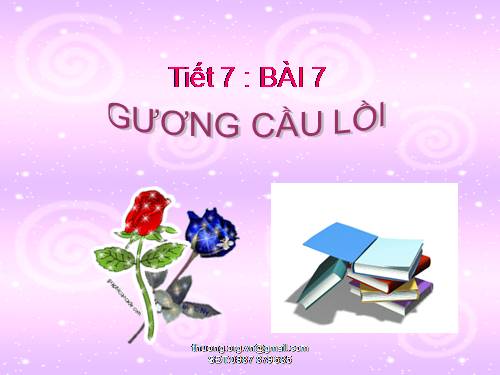 Bài 7. Gương cầu lồi