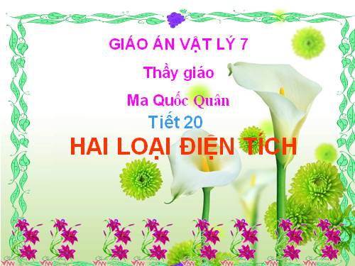 Bài 18. Hai loại điện tích