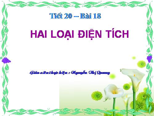 Bài 18. Hai loại điện tích