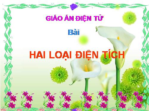 Bài 18. Hai loại điện tích