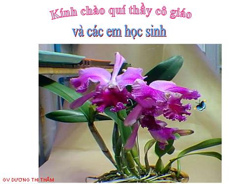 Bài 16. Tổng kết chương 2: Âm học