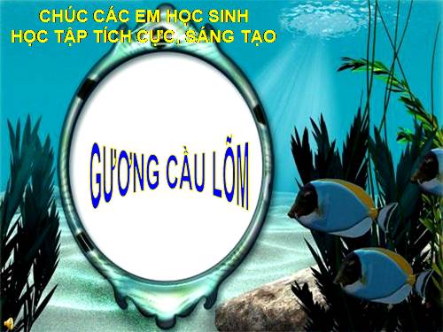 Bài 8. Gương cầu lõm