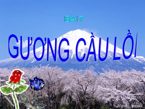 Bài 7. Gương cầu lồi