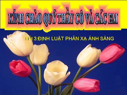 Bài 4. Định luật phản xạ ánh sáng