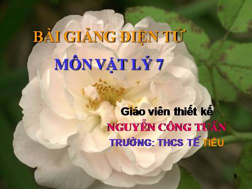 Bài 15. Chống ô nhiễm tiếng ồn