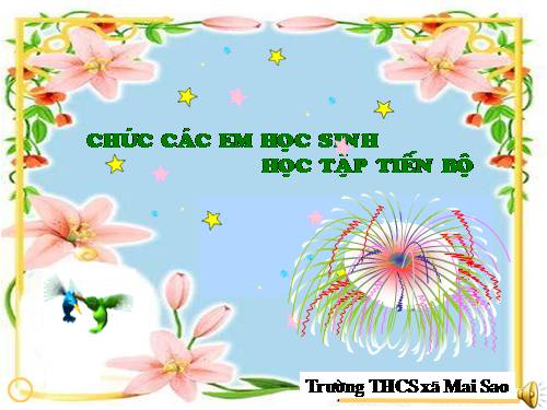 Bài 15. Chống ô nhiễm tiếng ồn