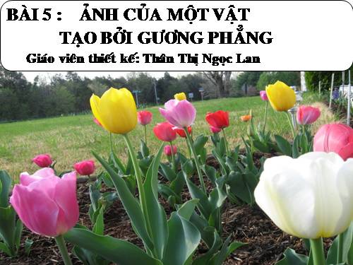 Bài 5. Ảnh của một vật tạo bởi gương phẳng