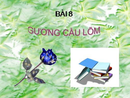 Bài 8. Gương cầu lõm