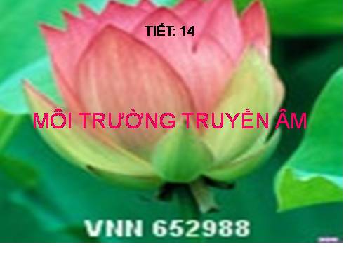 Bài 13. Môi trường truyền âm