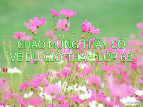 Bài 27. Thực hành: Đo cường độ dòng điện và hiệu điện thế đối với đoạn mạch nối tiếp