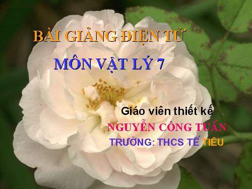 Bài 15. Chống ô nhiễm tiếng ồn