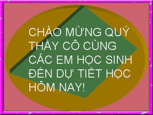 Bài 8. Gương cầu lõm